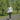 lookbook-1