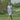 lookbook-1