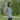lookbook-0