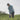 lookbook-0