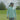 lookbook-0