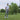 lookbook-0