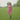 lookbook-1