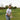 Men's Polos