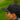 Headwear