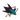 San Jose Sharks