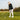 lookbook-1