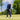 lookbook-1
