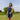 lookbook-1