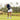 lookbook-3