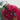 lookbook-0