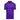 Charlotte Hornets Mason Core Insignia
