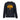 Arche de l'équipe Fiona des Phoenix Suns