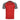 Detroit Red Wings Tracker Insignia Core